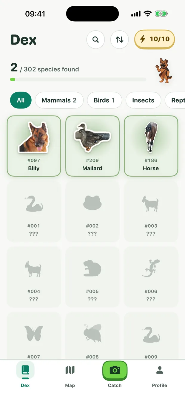 The WildCatch Dex: found species shown as stickers, coloured by rarity, with filters by animal group
